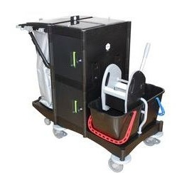 Black is Green School