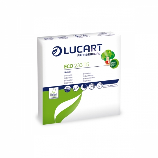 ECO 233 T5
