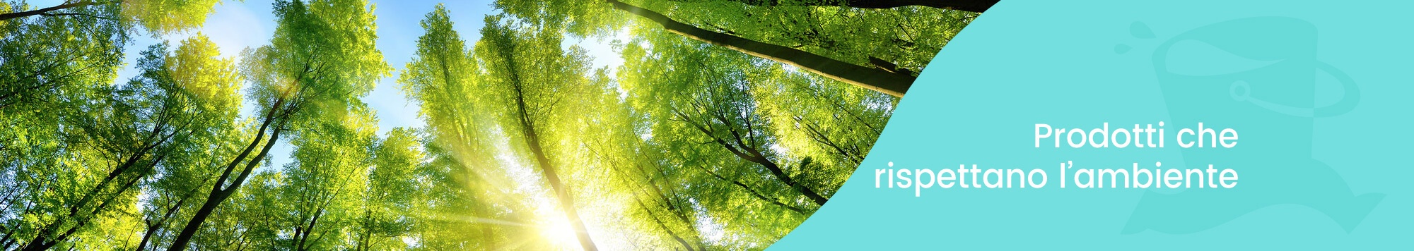 Canvass macchine e prodotti per il pulito